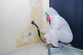 Mold Removal for HVAC Installations in Suncrest, WA